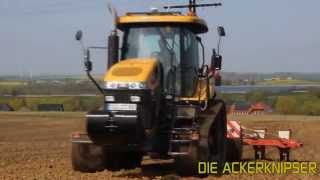 Maislegen 2014 mit Challenger MT765C und Horsch Maistro 8 CC [upl. by Sension]