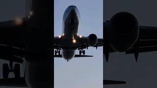 just plane landings  up close planes aviation [upl. by Yllet]