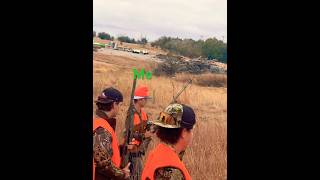 Kansas morning pheasant hunting hunting shotgunbird [upl. by Chisholm]