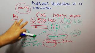 CVS physiology 130 CNS ischemic response central nervous system ischemic response [upl. by Mathe]