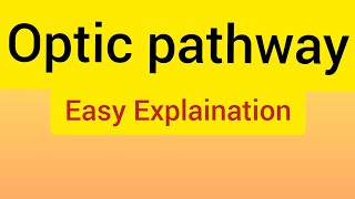 Optic Pathway Made Easy For Fcps Part 1JCAT [upl. by Laicram]