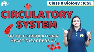 Circulatory System Class 8 ICSE Biology  Chapter 6  Double Circulation amp Heart Disorders 2 [upl. by Attolrac930]