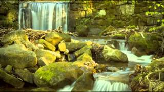 Babbling Brook Nature Sounds Sleep Music Relaxing Music for Meditation and Baby Sleep [upl. by Hutchison]