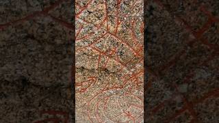 Swedish Runestone From The Viking Age 119 [upl. by Marianna]