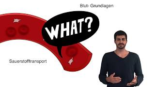 Blut Grundlagen clipdocsde [upl. by Imis565]