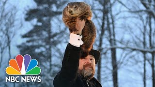 Punxsutawney Phil makes 2023 Groundhog Day prediction  NBC News [upl. by Bendix]