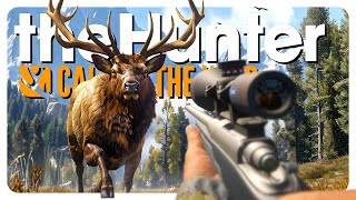 Hunting only the THICCEST animals 200k celebration vid  theHunter Call of the Wild [upl. by Ettenawtna]