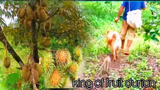 quotUnveiling the King of Fruits The Ultimate Durian Experience [upl. by Salguod]