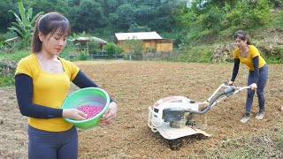 30 Days Harvest Corn And New Corn Crop Harvest Bamboo Shoots  My Bushcraft  Nhất [upl. by Maryanna]