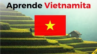 Aprende Vietnamita Mientras Duermes  Las Frases y Palabras Más Importantes En Vietnamita  3H [upl. by Nico316]