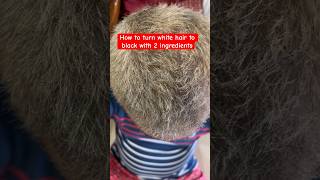 How to get rid of grey hair naturally shorts youtubeshorts hair [upl. by Evanthe777]