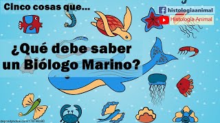 Cinco cosas que debe saber un Biólogo Marino [upl. by Rempe]