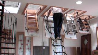 Murphy Larkin Attic Stairs Attic ladders [upl. by Olenolin]