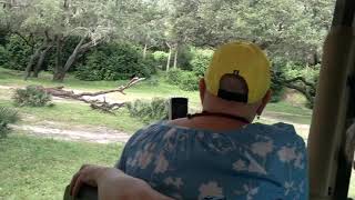 Kilimanjaro safari at Animal Kingdom October 2024 Part 1 [upl. by Amimej]