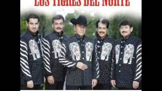 QUE NUNCA SE ENTERE LOS TIGRES DEL NORTE [upl. by Noyes]