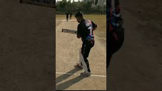 Clean Bowled cricket psl nature relax bpl cpl pcb pcb ipl bpl bbl [upl. by Dolli]