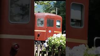 【4K縦動画】C58363 門鉄デフ！秩父鉄道・SLパレオ 武州日野駅通過 ChichibuRailway Steam locomotive Class C58 quotPALEO EXPRESSquot [upl. by Ekim]