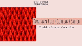 Tunisian Full Gobelin Stitch  TUNISIAN STITCHES COLLECTION [upl. by Inirt982]