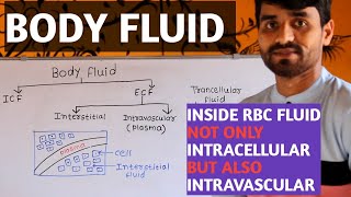 WHAT IS INTRACELLULAR AND EXTRACELLULAR FLUID IN HINDI [upl. by Notneiuq347]