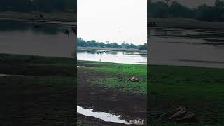 Sorgame Endralum song WhatsApp status tirunelveli [upl. by Chung]