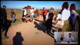 LA GRAN FINAL CAMPEONATO DE ESPAÑA GALGOS EN CAMPO  4  2 2024   2 CARRERA Y CAMPEONA AITANA [upl. by Fiorenza]