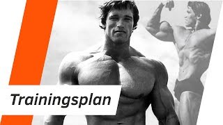 Das Training des großen ARNOLD SCHWARZENEGGER  Kompletter Trainingsplan  Andiletics [upl. by Hendrik904]