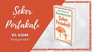 Şeker Portakalı Sesli Kitap  12 BÖLÜM  Jose Mauro de Vasconcelos [upl. by Niriam182]