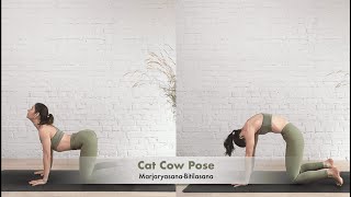 How To Do Cat Cow Pose MarjaryasanaBitilasana [upl. by Jarietta]