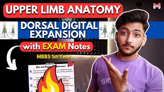 Upper Limb Anatomy  Dorsal Digital Expansion  MBBS 1st Year  Full Explanation With Exam Notes [upl. by Emmaline]