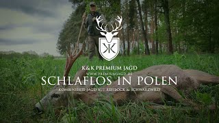 SCHLAFLOS IN POLEN  Kombinierte Jagd 🦌 auf Rehbock amp Schwarzwild 🐗 Nachtjagd auf Sauen [upl. by Lyred]