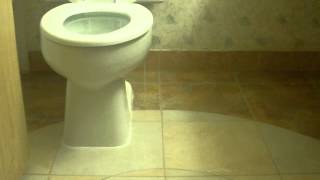 Toilet Overflows in Hotel Restroom Rapid City [upl. by Lawlor]