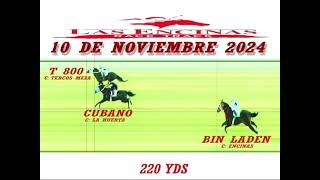 T800 vs CUBANO vs BIN LADEN  10 NOV 24 Pista Las Encinas Race Track [upl. by Eiveneg350]