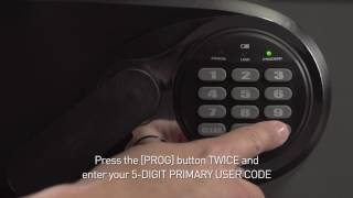 How to Program Codes on a Sentry®Safe Basic Electronic Lock Fire Safe [upl. by Inaluiak236]