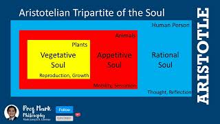 Aristotelians Theory on the Tripartite of the Soul TagalogEnglish [upl. by Atiram]