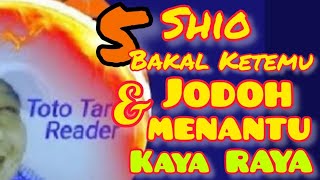 5 Shio bakal ketemu JODOH  Menantu KAYA RAYA dalam waktu dekat [upl. by Lebanna]