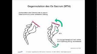 ISG Ilio Sacral Gelenk Biomechanik Manuelle Therapie Osteopathie Skript [upl. by Soulier]