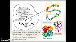 Organisk kemi del 3  fetter kolhydrater proteiner [upl. by Uamak401]