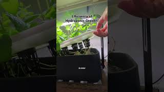 Discover the Ultimate Indoor Herb Growing Innovations [upl. by Pinzler]