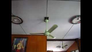 48quot HUSAN Ceiling fan Model 2003 CF48F green [upl. by Garrick600]