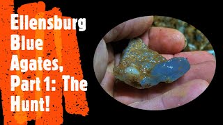 Ellensburg Blue Agates Part 1 The Hunt A short video thefinders [upl. by Ykvir]