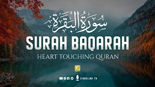 Surah Al Baqarah Full سورة البقره  Relaxing heart touching Majestic voice  Zikrullah TV [upl. by Renba610]