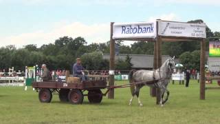 Zuidenveld Schoonebeek 2012  Concours Hippique [upl. by Atiz]