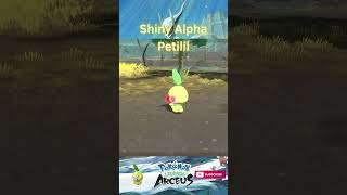 SHINY ALPHA PETILIL shorts shinypokemonhunter pokemonlegendsarceus shinypokemon pokemon [upl. by Aldrich]