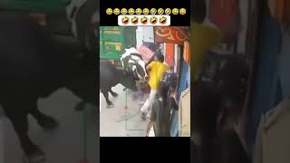 O Tera cytshorts funny trending punjabisong followforfollowback follow viralvideo comment [upl. by Mlawsky]