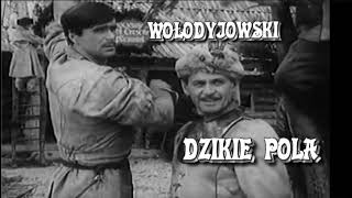 WOŁODYJOWSKI  Dzikie Pola [upl. by Gnohc]