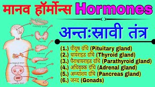 Human Endocrine system  अंतः स्रावी तंत्र  मानव शरीर की ग्रंथियाँ  Human Hormone मानव हार्मोन्स [upl. by Laurel]