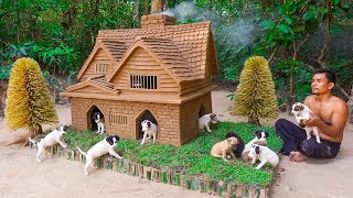 Rescue Dog and building a Dog House for Puppies [upl. by Eladnyl]