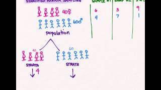 Sampling 03 Stratified Random Sampling [upl. by Laflam]