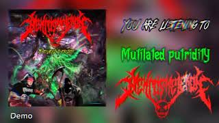 NekroskelekoN  Mutilated putriditY Official Visualiser [upl. by Ing]