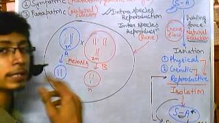 Origin of species Sympatric speciation evolution part 8 speciation 4 [upl. by Jaqitsch]